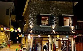 Iguana House
